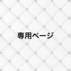 専用ページ