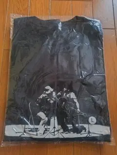 Item thumbnail for item 8d0728ee-b8e5-4561-a7cb-0e16c927b0bc