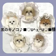 黒のキノコ♪■♡U^ェ^U♡■様専用