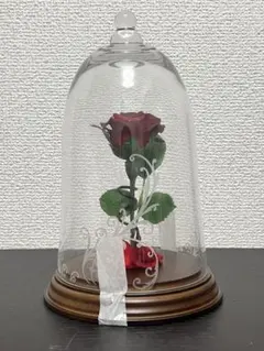 2026年最新】amorosa プリザーブドフラワーの人気アイテム - メルカリ
