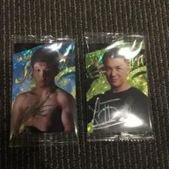 Item thumbnail for item f0314b12-edb5-40ca-b31d-b7c6919b2cb2