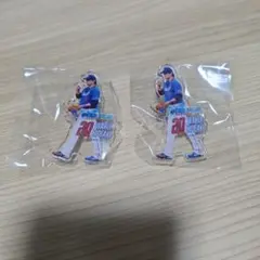 2026年最新】涌井秀章 アクリルの人気アイテム - メルカリ
