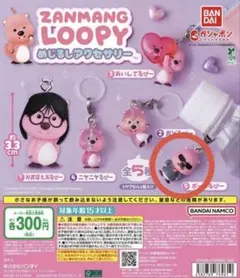 ZANMANG LOOPY めじるしアクセサリー