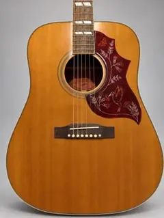 ★スプルース×マホガニーオール単板極上ハミングバード新品！ブラックカラー！★ ☆スプルース×マホガニーオール単板極上ハミングバード新品！ブラック