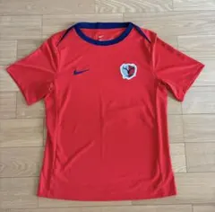 限定セール】鹿島アントラーズ NIKE ナイキ キーパー支給ウェア