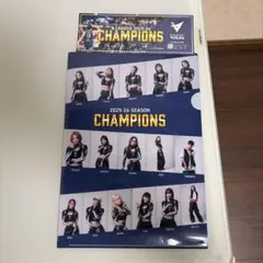長崎ヴェルカ 2025-26 CHAMPIONS クリアファイル すてっ