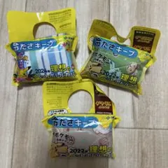ポケモンペットボトルカバー 3点セット