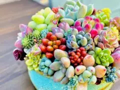 お急ぎ☆モカさん様 リクエスト 2点 まとめ商品