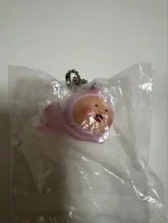 こびとづかん カクレモモジリコレクション