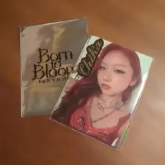 HANA Born to Bloom ランダムフォトカード