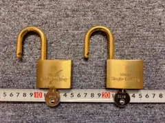 Item thumbnail for item bc3c994b-ffea-464b-8fca-f7ec38c0bfd8