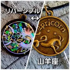 No.502。ハンドメイドレジンアクセサリー、ネックレス、キーリング、山羊座