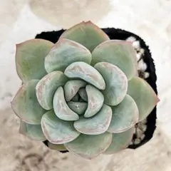 ゆみこふ様 リクエスト 3点 まとめ商品