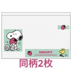 【新品未使用】スヌーピー　マイナンバーカードケース　２枚セット