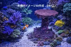 2026年最新】人工 ライブロックの人気アイテム - メルカリ