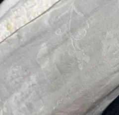 Item thumbnail for item e47fb98b-b7a6-4cd9-ae79-d714cf237bed