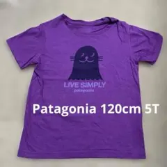 パタゴニア 紫色 Tシャツ 5T 120cm