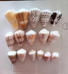 さらさ様 リクエスト 4点 まとめ商品