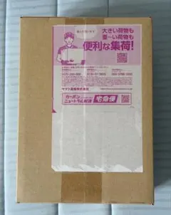【新品未開封・シュリンク付き】ポケセン産 ストームエメラルダ BOX