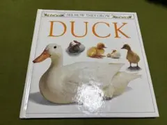 DUCK - SEE HOW THEY GROW