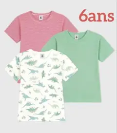 新品 未使用 プチバトー 半袖 Ｔシャツ 恐竜 ３枚組 6ans
