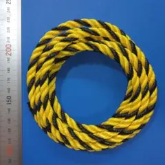 Item thumbnail for item 4cdfa4a7-aa73-4fa4-bf9a-c5420d3f5e44