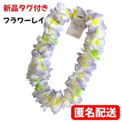 Item thumbnail for item 2cd1299e-84ab-4444-8b12-4723ef8347c1