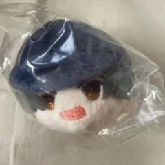 テニプリ 真田弦一郎 もちマス