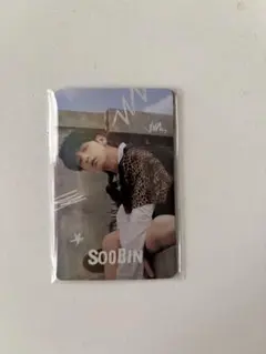 *最終値下げ* freefall 5枚セット