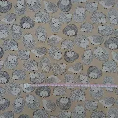 頒布生地