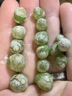 フ❣️様 リクエスト 5点 まとめ商品