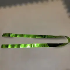 Item thumbnail for item d2da475d-1886-47ad-8561-b714b814ecbe