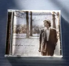 David Sylvian/Brilliant Trees　デビット・シルビアン