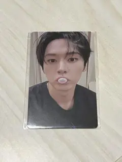 StrayKids KARMA FANSSHOP トレカ リノ