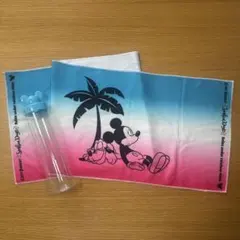 ミッキーマウス タオル・ボトルセット