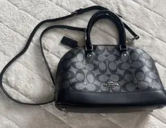 Item thumbnail for item 3836f2a7-ca04-4077-a638-2f0dc8c8d879