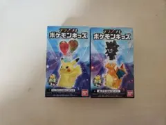 テラスタルポケモンキッズ ピカチュウ リザードン 2匹セット - メルカリ