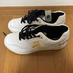 限定早い者勝ち】 福岡ソフトバンクホークス 靴工房サンガッチョコラボ