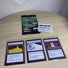 一番くじ HUNTER×HUNTER グリードアイランド② L賞 少女