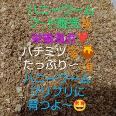 허니 웜 — 700 그램