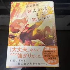 Item thumbnail for item 048166ef-df91-4d30-a17b-0c4ade770cf6