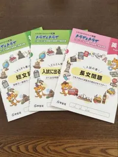 Item thumbnail for item e467f493-de3e-4001-b849-a8a420b9d038