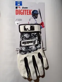 Item thumbnail for item 07fb911f-b176-4dcb-8b5f-6ae0695f1457