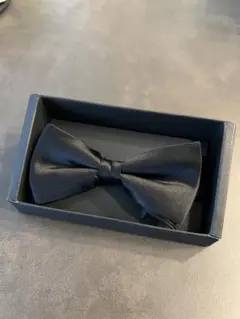 Item thumbnail for item 9afb182c-3962-4ec5-bc49-9d28e09331af