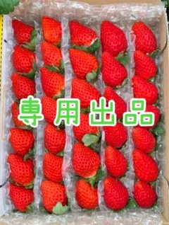 さーちゃんママ様専用2箱セット