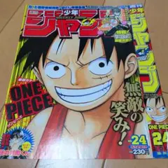 週刊少年ジャンプ 2006年 24号 ワンピース 表紙 - メルカリ