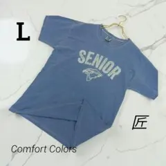 Comfort Colors コンフォートカラーズ Tシャツ 半袖 ブルー Lのサムネイル
