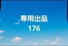 専用出品176