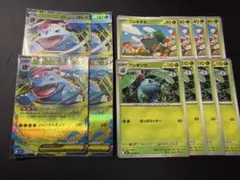 メガフシギバナex 進化ライン ポケモンカード