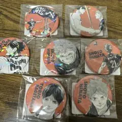 ハイキュー　缶バッジ　影山　日向